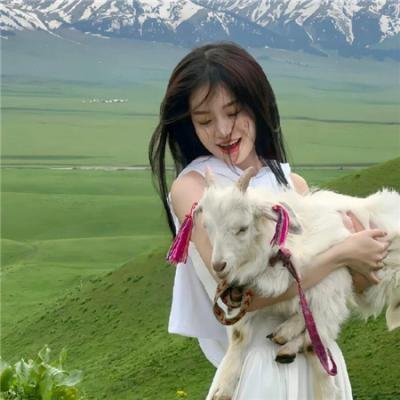 折纸折柳·重逢